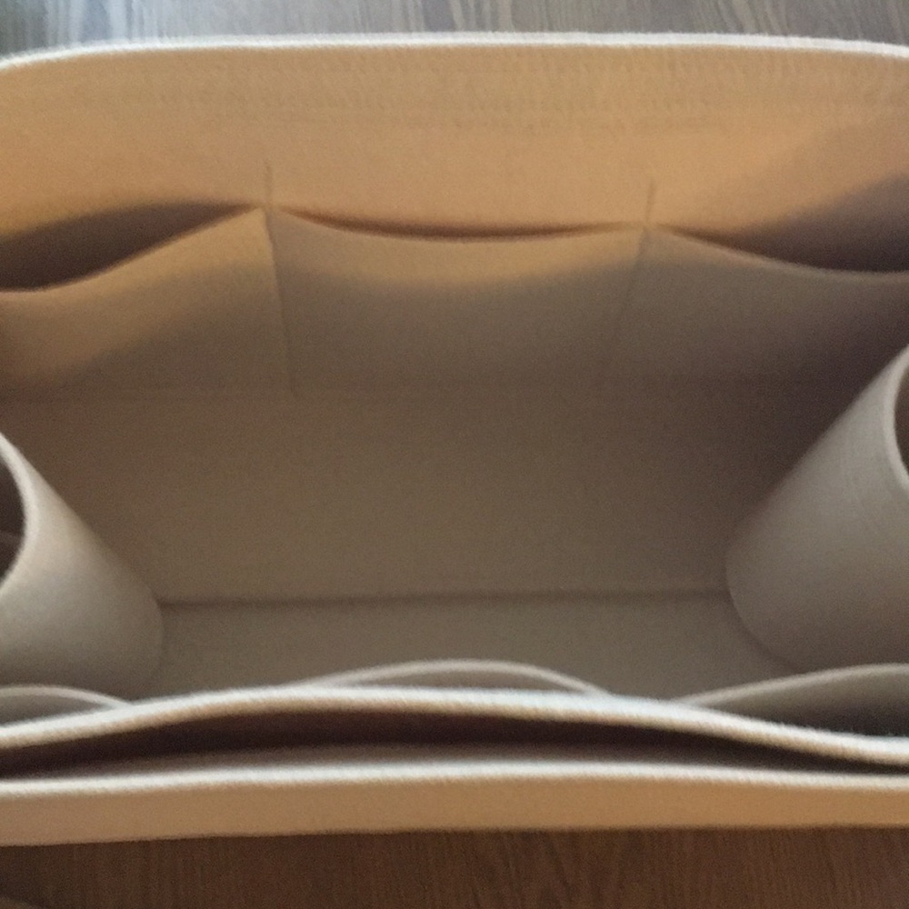 Neverfull GM organizer